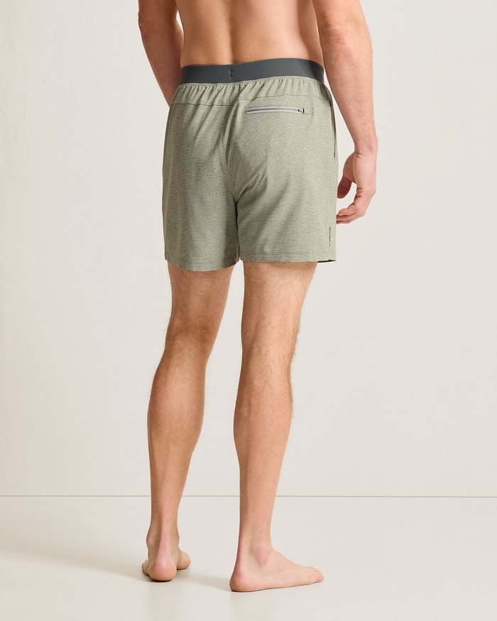Kona Cove  5-Inch Hybrid Shorts