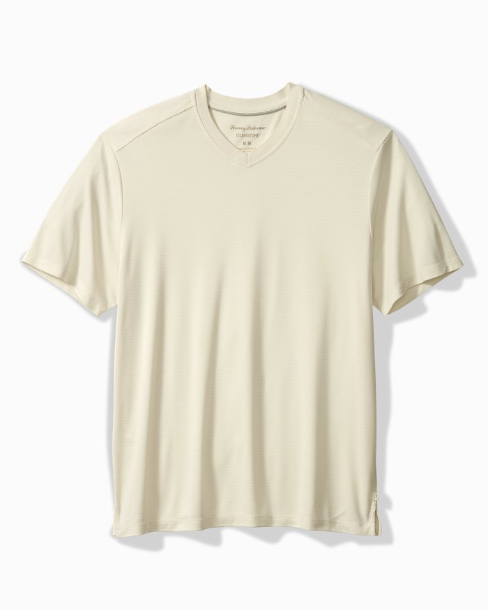Big & Tall Bay Stripe V-Neck IslandZone  T-Shirt