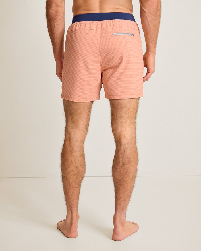 Kona Cove  5-Inch Hybrid Shorts
